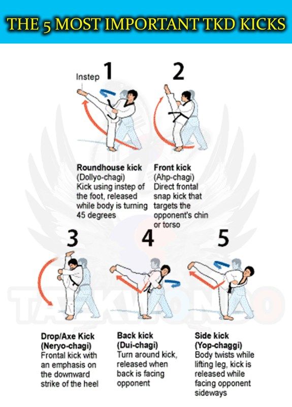 taekwondo techniques pdf